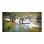 Striped Beauty Personalized Photo Card