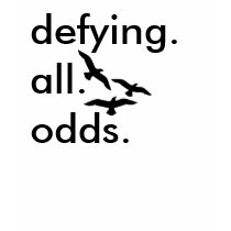 striped birds: black on white t-shirts by nfguitarist striped birds: black on white t-shirts