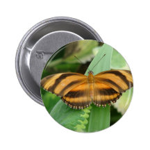 Striped Butterly Round Button