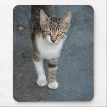 Striped cat mousepad