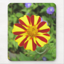 Striped French Marigold mousepads by lifethroughalens Striped French Marigold mousepads