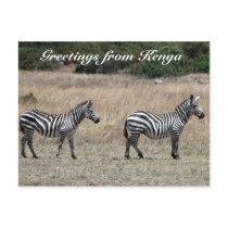 striped greetings post cards