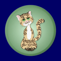 Striped Kitty Kat Magnet magnets