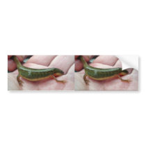 Striped newt, Georgia bumper stickers