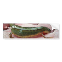 Striped newt, Georgia bumper stickers