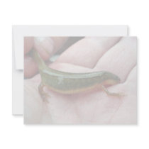 Striped newt, Georgia invitations by animalpark Striped newt, Georgia invitations