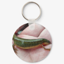 Striped newt, Georgia keychains