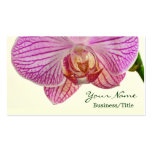Striped Orchid Business Cards