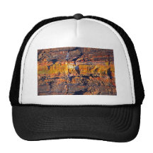 "Striped Petrified Wood" collection Mesh Hat