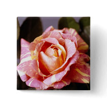 Striped Rose buttons