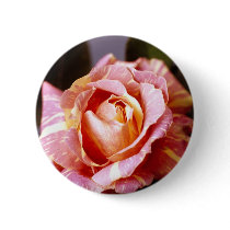 Striped Rose buttons