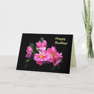 Striped Roses Birthday card