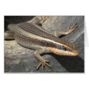 Striped Skink in a Canon cards by just_a_webshop Striped Skink in a Canon cards