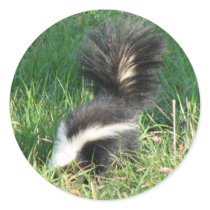 Striped Skunk Sticker by naturegirl7 Striped Skunk Sticker