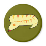 Striped Snake Striped Snake