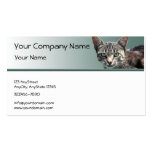 Striped Tabby with Green Eyes on Green Gradient Business Card Template