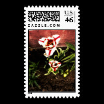Striped Tulips Stamp