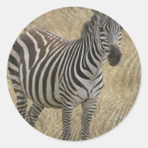 Striped Zebra Stickers