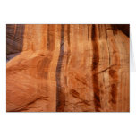 Striped Zion Rock Nature Card