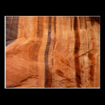 Striped Zion Rock Nature Postcard