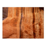Striped Zion Rock Nature Postcard