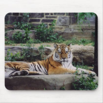 Stripes mousepads by Jack_of_Arts Stripes mousepads