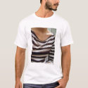 Stripes, Photo By: Rachel Maire -Tee t-shirts