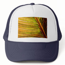 stripes strike hats