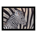 Stripes Zebra Baby and Mom greeting card