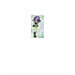 Ladies Baby Doll (Fitted)