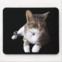 Stripped Cat Laying on Mouse Pad mousepads