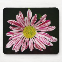 Stripped Daisy mousepads