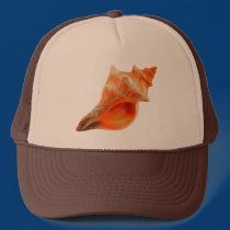Stripped Fox hats