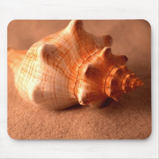 Stripped Fox Mouse Pad