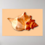 Stripped Fox Print