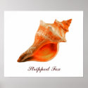 Stripped Fox posters