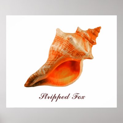 Stripped Fox Print by roimim