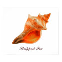 Stripped Fox posters by roimim Stripped Fox posters