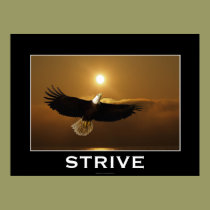 STRIVE ~ Flying Bald Eagle Motivational Poster posters