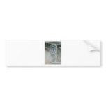 strix-nebulosa-lapponi bumper stickers
