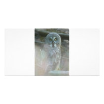 strix-nebulosa-lapponi photo cards by marylouroche strix-nebulosa-lapponi photo cards