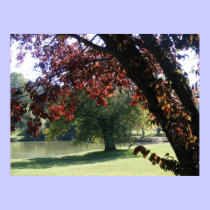 Stroll in the Park posters