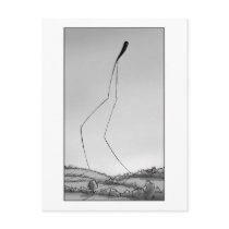 Stroll postcards by JollyJack Stroll postcards