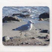 Strolling Gull Mouse Mats