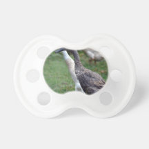 Strolling Indian Runner Ducks Baby Pacifiers
