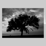 Strong as an Oak cards
