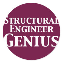 Structural Engineer Genius Gifts Sticker