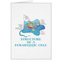 Structure Of A Eukaryotic Cell (Eukaryote) Cards