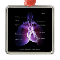 Structure of the heart and lungs christmas tree ornaments