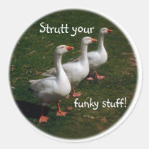 Strutt your funky stuff! round sticker